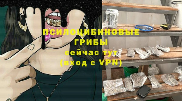 СК Алексин