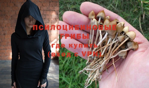СК Алзамай