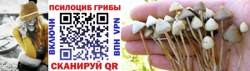 Галлюциногенные грибы мицелий  маркетплейс как зайти  Лагань  магазин   